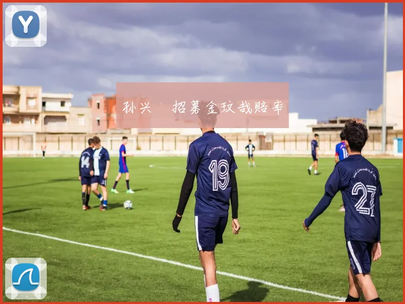 孙兴慜招募金玟哉赔率