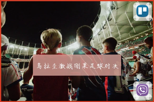 乌拉圭激战刚果足球对决