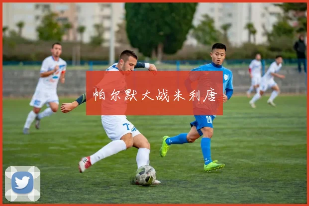 帕尔默大战米利唐