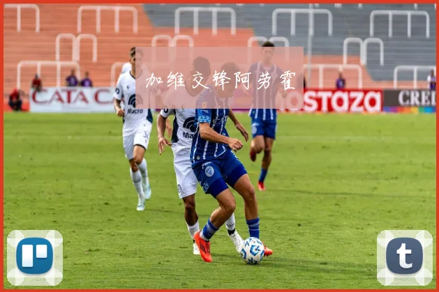 加维交锋阿劳霍