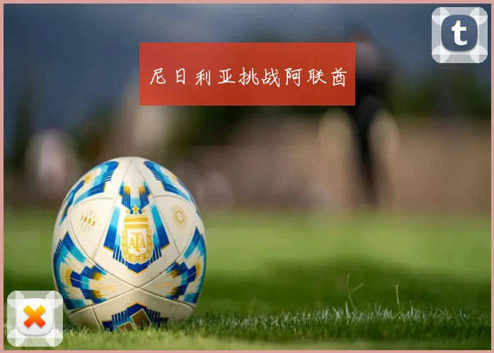 尼日利亚挑战阿联酋