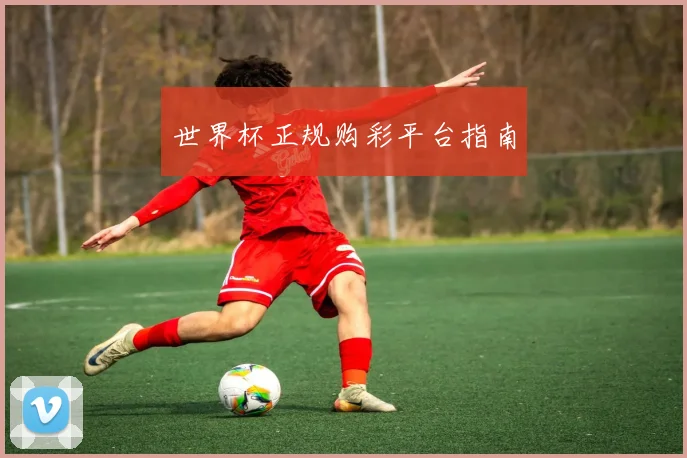 世界杯正规购彩平台指南