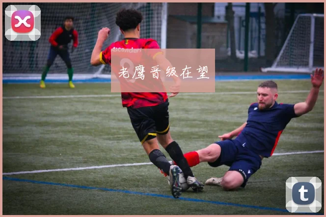 老鹰晋级在望