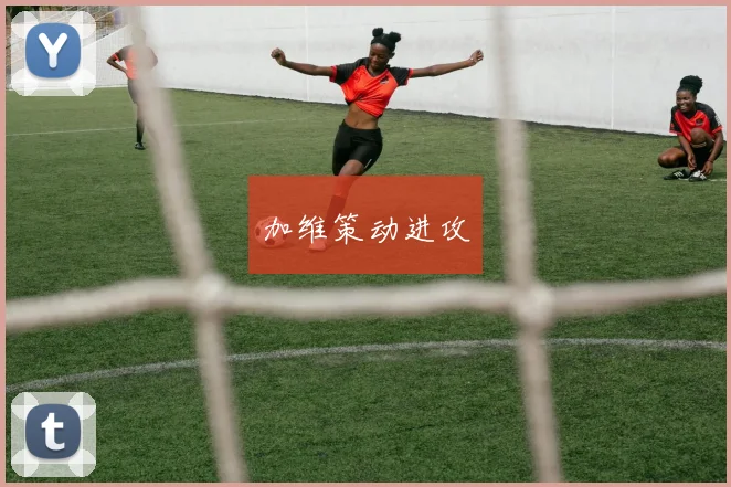 加维策动进攻