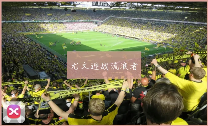 尤文迎战流浪者