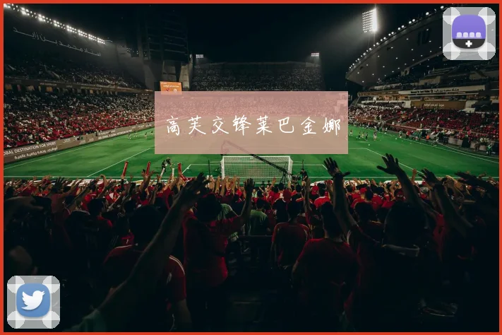 高芙交锋莱巴金娜