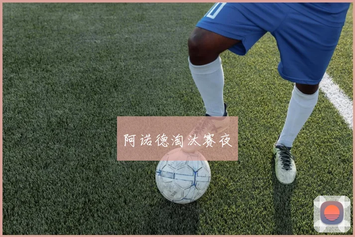 阿诺德淘汰赛夜