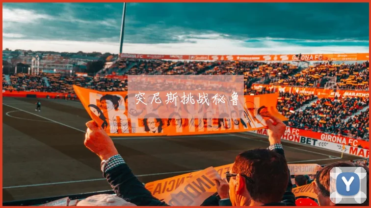 突尼斯挑战秘鲁