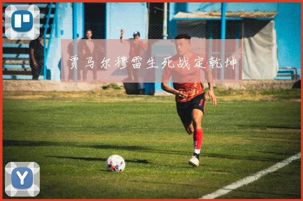 贾马尔穆雷生死战定乾坤