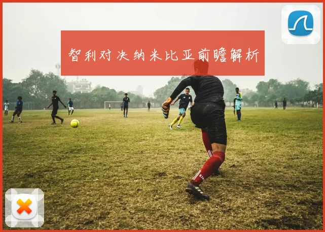 智利对决纳米比亚前瞻解析