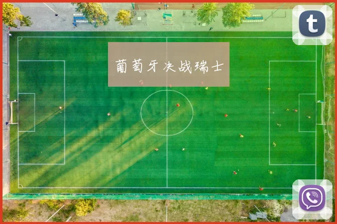 葡萄牙决战瑞士