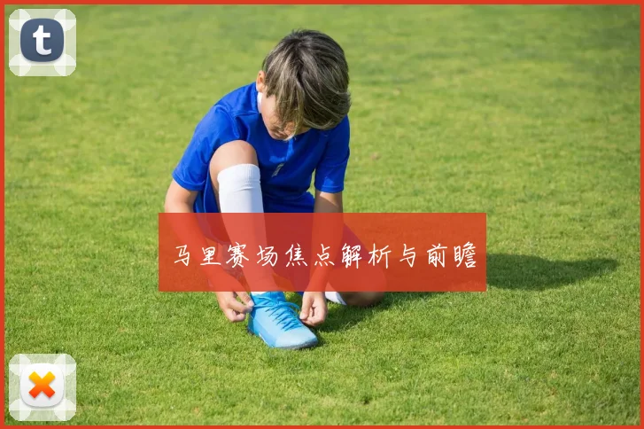 马里赛场焦点解析与前瞻