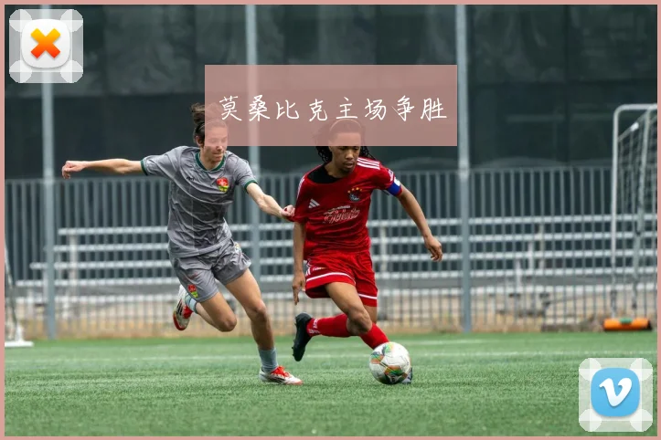 莫桑比克主场争胜