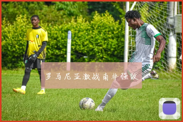 罗马尼亚激战南非强敌