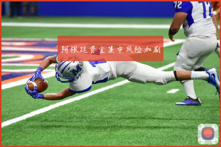 阿根廷资金集中风险加剧