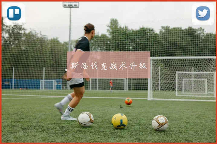 斯洛伐克战术升级