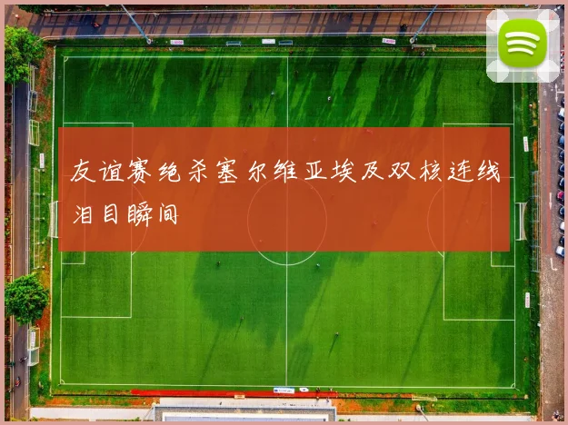 友谊赛绝杀塞尔维亚埃及双核连线泪目瞬间